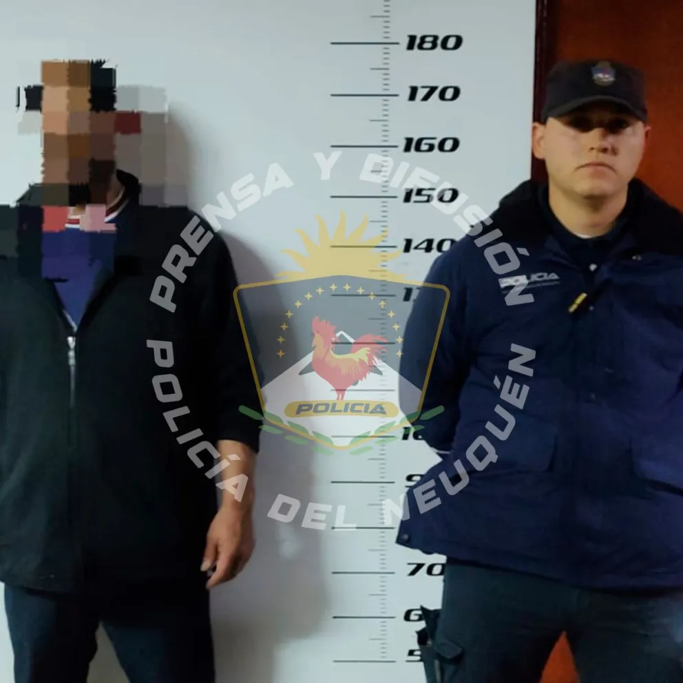 Imagen 2