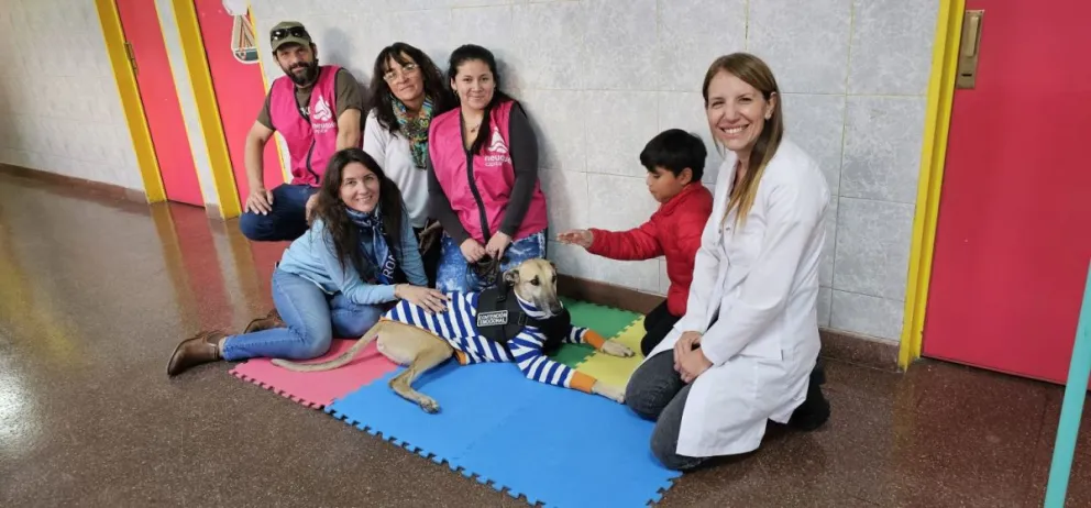 Imagen 2