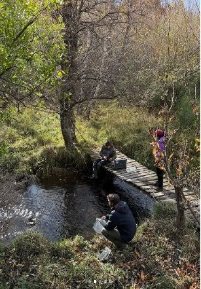 Imagen 2