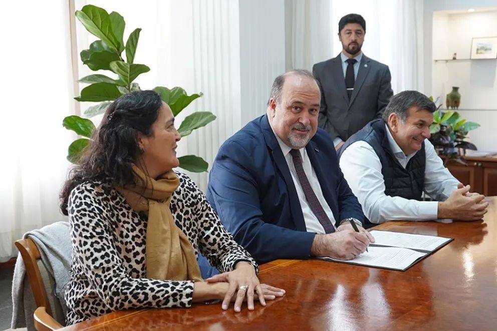 Imagen 2