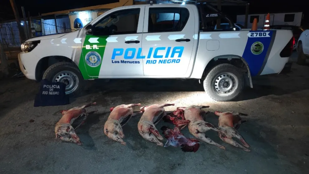 Imagen 2
