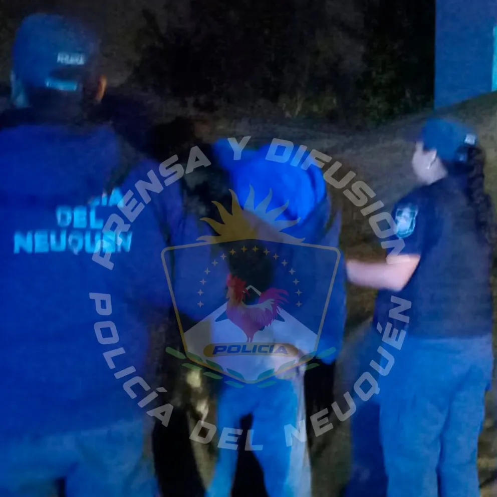 Imagen 2