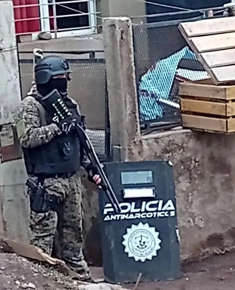 Imagen 2