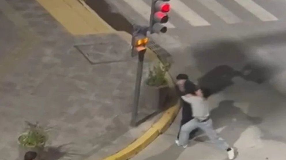 Imagen 2
