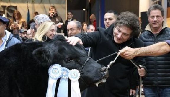 Imagen 2