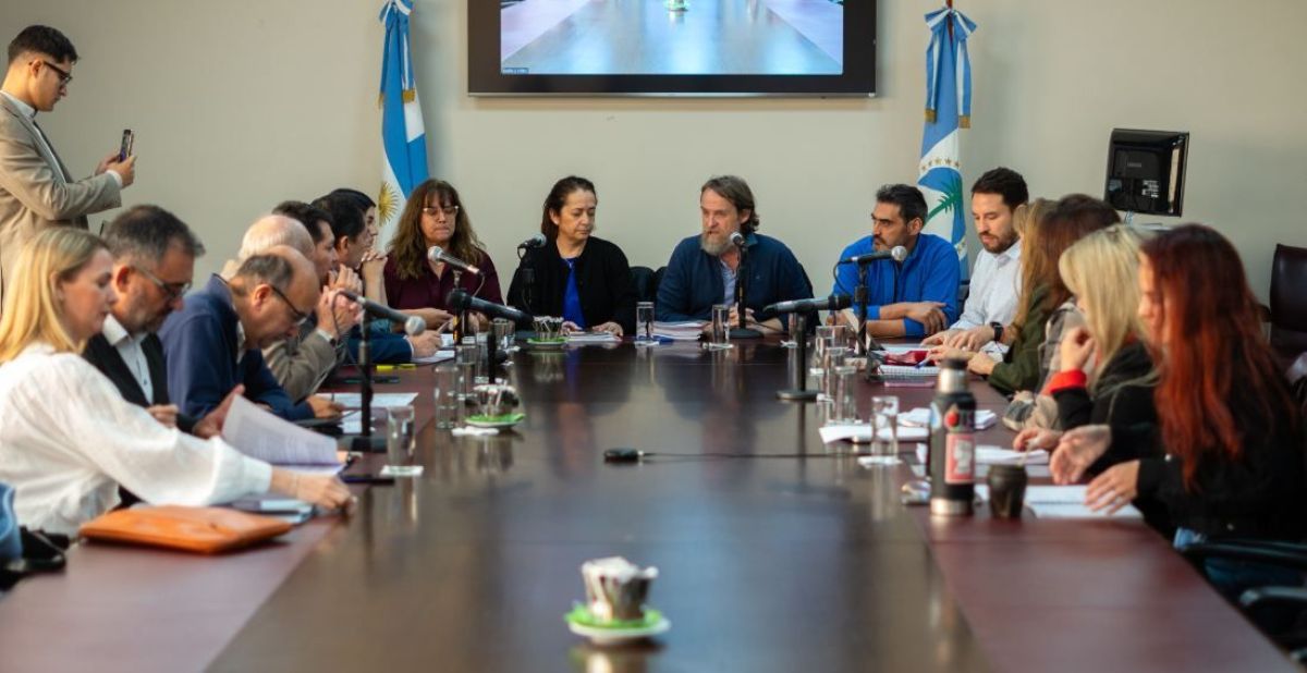Imagen 2
