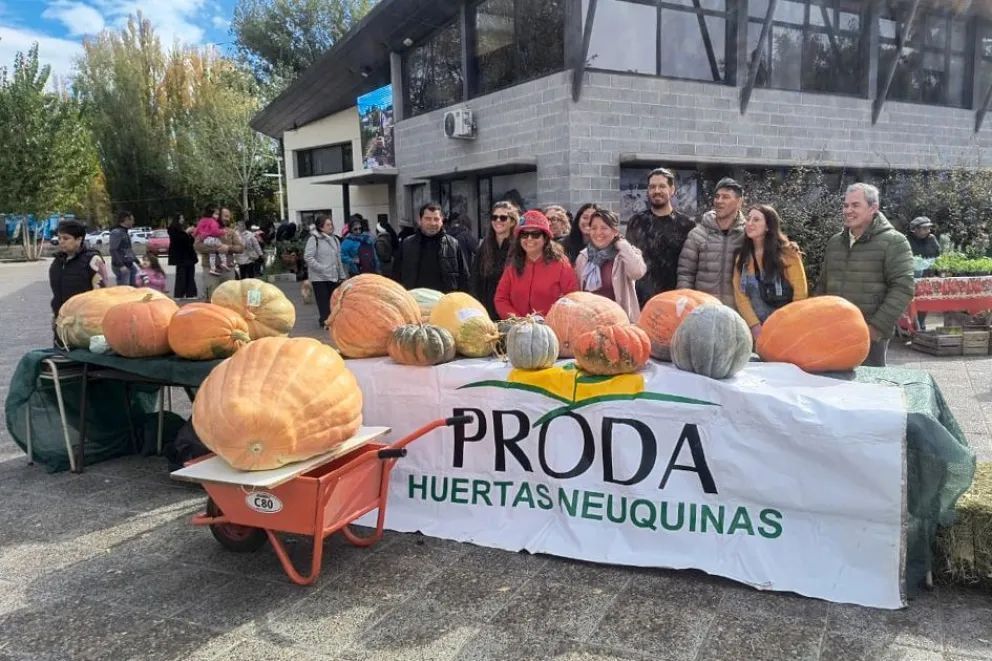 Imagen 2