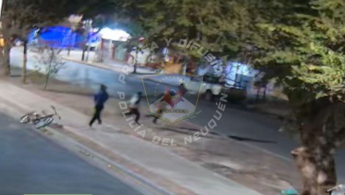 Imagen 2