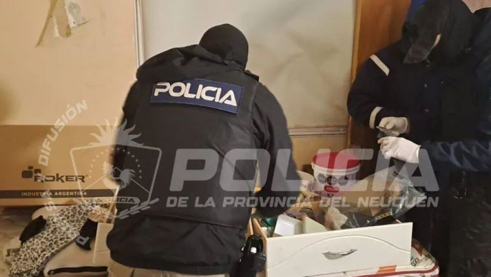 Imagen 2