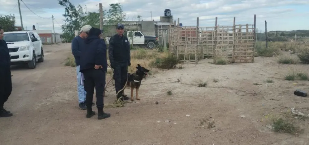 Imagen 2