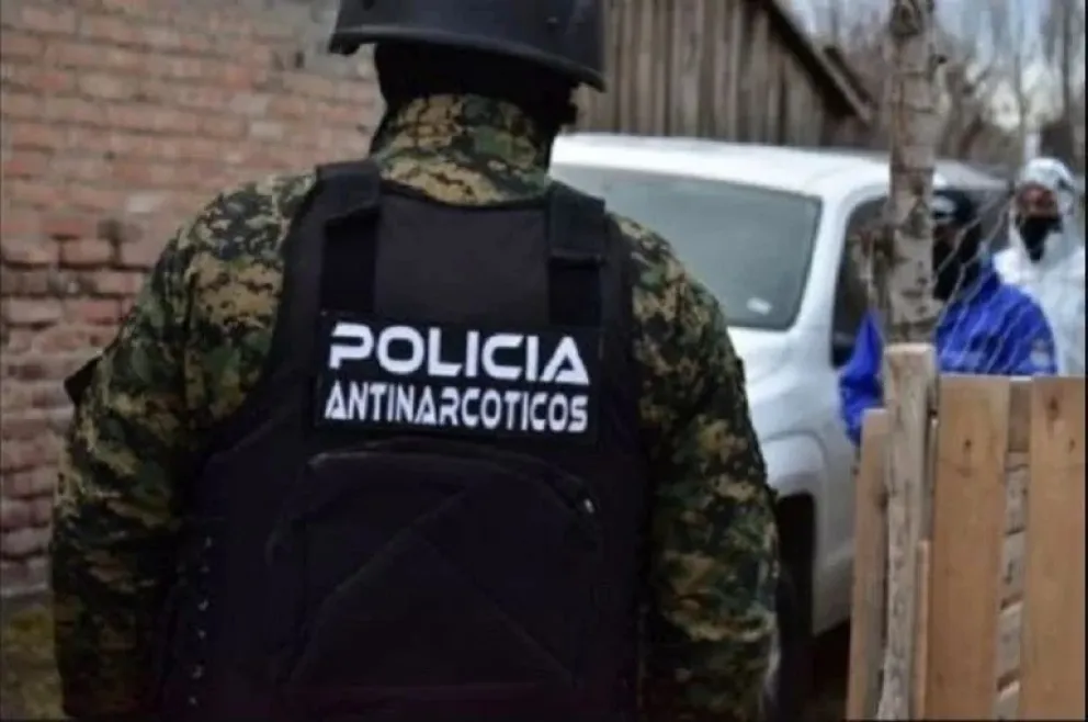 Imagen 2