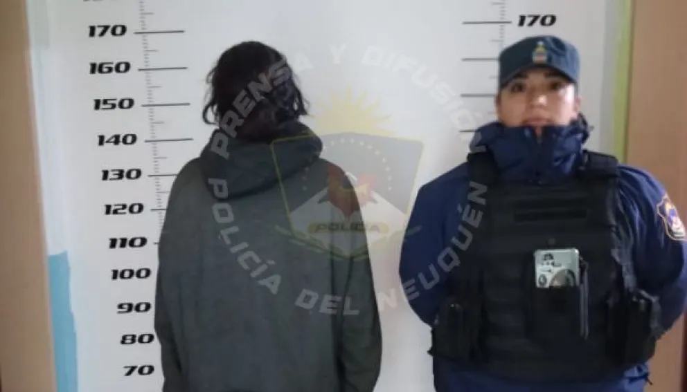 Imagen 2