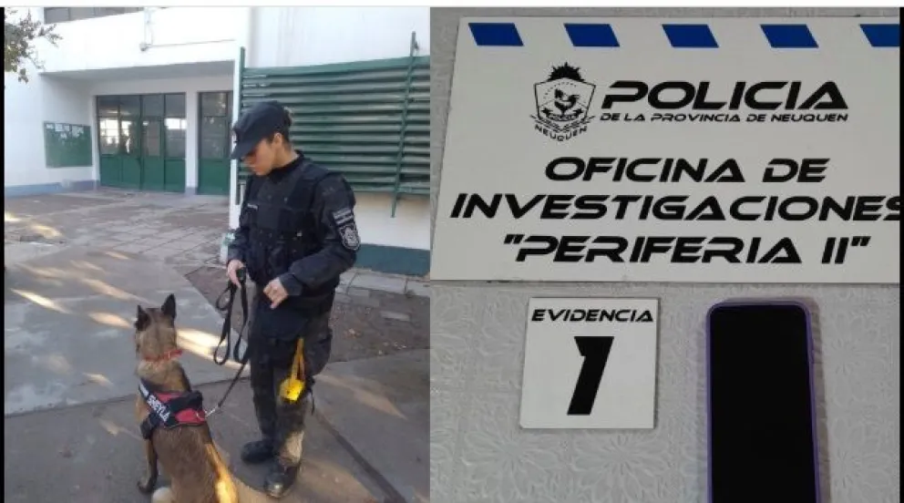 Imagen 2